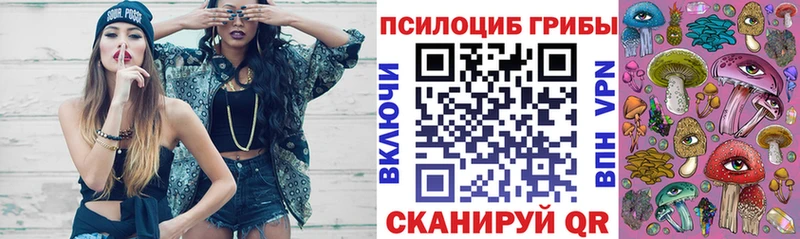 где купить наркоту Артём Псилоцибиновые грибы мухоморы